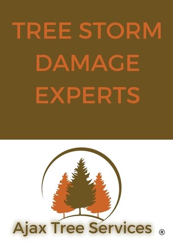 Tree Storm Damage Experts Ajax