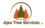 Tree Services Ajax ON