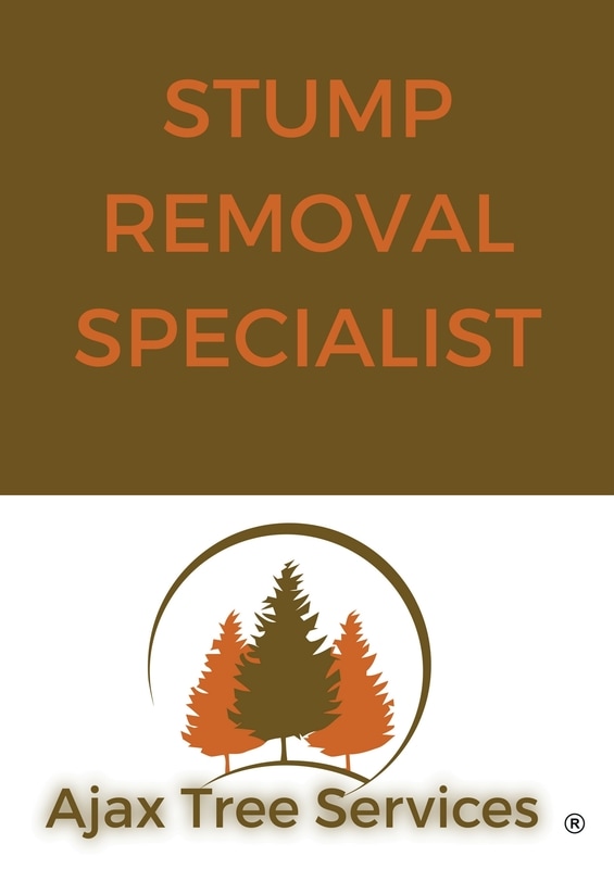 Tree Stump Removal Specialist Ajax